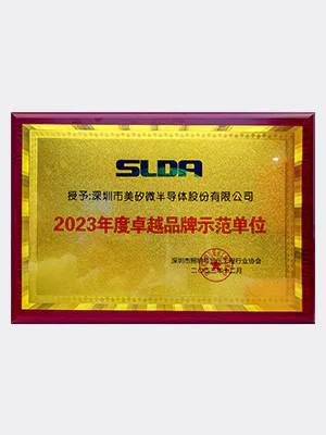 2023年度卓越品牌示范单位