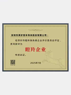 瞪羚企业